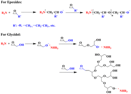 Graphical abstract: Ring-opening mechanism of epoxides with alcohol and tertiary amines