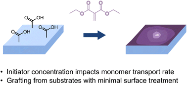 Graphical abstract: Anionic polymerization and transport of diethyl methylidene malonate on polyolefin copolymer surfaces