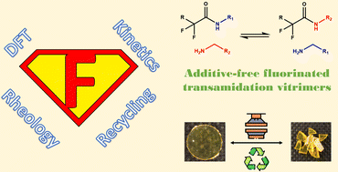 Graphical abstract: Transamidation vitrimers enabled by neighbouring fluorine atom activation
