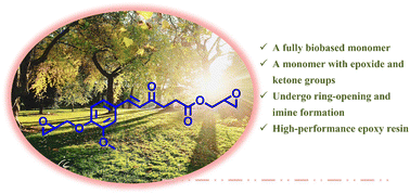 Graphical abstract: A robust fully bio-based aromatic–aliphatic ketone epoxide monomer for high-performance epoxy resin containing an imine structural moiety