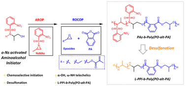 Graphical abstract: Telechelic block copolymer L-PPI-b-poly(epoxide-alt-PA) obtained via desulfonation of poly(o-nitrophenylsulfonyl-activated aziridines)