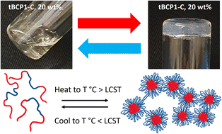 Graphical abstract: Synthesis of thermoresponsive PNIPAm-b-PVP-b-PNIPAm hydrogels via aqueous RAFT polymerization