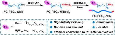 Graphical abstract: A scalable and efficient approach to high-fidelity amine functionalized poly(ethylene glycol) derivatives