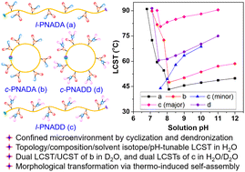 Graphical abstract: Impact of cyclization and dendronization on multi-tunable thermoresponsive behaviors of polyacrylamide copolymers