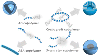 Graphical abstract: Exploring the effects of glyco-copolymer architectures on the solution self-assembly of amphiphilic thermoresponsive linear, star, and cyclic polymers