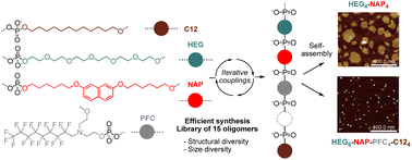 Graphical abstract: A single monomer difference can impact the nanostructure output of precision oligo(phosphodiesters)