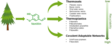 Graphical abstract: From vanillin to biobased aromatic polymers