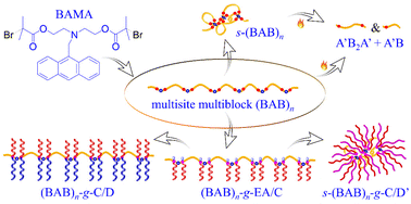 Graphical abstract: Cascade synthesis of architecture-transformable thermo-labile multisite multiblock copolymers