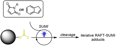 Graphical abstract: Solid-phase synthesis of iterative RAFT single unit monomer insertion adducts