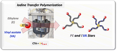 Graphical abstract: Polyethylene and poly(ethylene-co-vinyl acetate) star polymers by iodine transfer polymerization