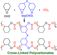 Graphical abstract: Catalytic synthesis and physical properties of CO2-based cross-linked poly(cyclohexene carbonate)s