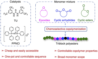 Graphical abstract: Self-switchable polymerization catalysis with monomer mixtures: using a metal-free commercial thiourea catalyst to deliver block polyesters
