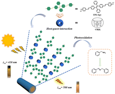 Graphical abstract: Construction of aggregation-induced emission photosensitizers based on supramolecular polymers for enhanced photocatalytic oxidative coupling of amines