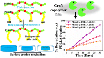 Graphical abstract: Synthesis and degradation study of graft copolymers of poly(limonene carbonate)