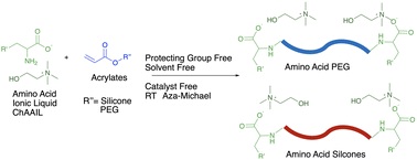 Graphical abstract: Protecting group-free introduction of amino acids to polymers through the aza-Michael reaction