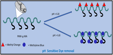 Graphical abstract: Selective dye adsorption by pH modulation on chemically modified nanopolyaniline by N-grafting of maleic acid
