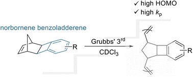 Graphical abstract: Ring-opening metathesis polymerization of norbornene–benzoladderene (macro)monomers