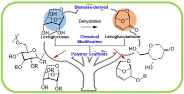 Graphical abstract: Levoglucosan and levoglucosenone as bio-based platforms for polymer synthesis
