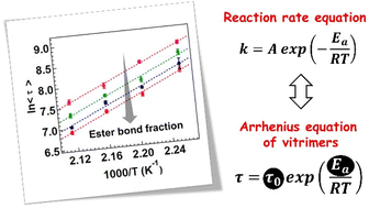 Graphical abstract: A simple design of a vitrimer network with various fractions of bond exchangeable units for revisiting the Arrhenius dependence of relaxation properties