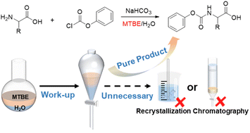 Graphical abstract: Facile synthesis of N-phenoxycarbonyl amino acids by a two-phase reaction for direct polymerization