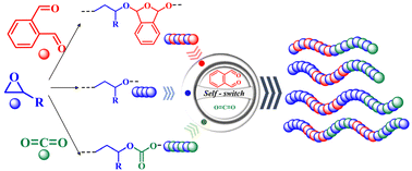 Graphical abstract: Monomer-controlled self-switchable polymerization: a metal-free strategy for synthesizing multiblock copolymers from epoxides, O-phthalaldehyde, and CO2