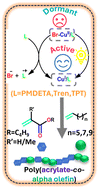 Graphical abstract: Mechanistic insights into the incorporation of higher alpha-olefins into acrylate copolymers via photoATRP