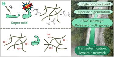 Graphical abstract: The use of a sulfonium-based photoacid generator in thiol–ene photopolymers for the controlled activation of transesterification through chemical amplification