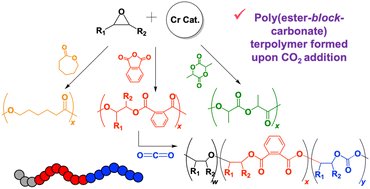 Graphical abstract: Ring opening polymerization and copolymerization for polyester and polycarbonate formation by a diamino-bis(phenolate) chromium(iii) catalyst