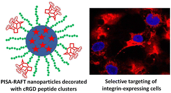 Graphical abstract: Synthesis of cRGD peptide cluster-decorated NIR-fluorescent PISA-RAFT nanoparticles targeting integrin expressing cells
