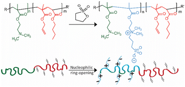 Graphical abstract: Amphiphilic–zwitterionic block polymers