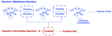 Graphical abstract: Ring-opening metathesis polymerization with 2–5 orders of rate increment