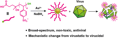 Graphical abstract: Antiviral mechanism change of poly(styrene sulfonate) through gold nanoparticle coating