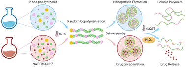 Graphical abstract: Thermal- and oxidation dual-responsive random copolymer self-assembly of nanostructures
