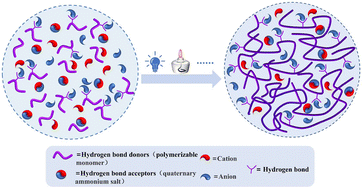 Graphical abstract: Impact of hydrogen bonding interaction energy on the polymerization kinetics of polymerizable deep eutectic solvent monomers