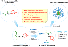 Graphical abstract: Controlled synthesis of polyester-based polyphenols via living ring-opening polymerization of novel O-benzyl-l-dopa carboxyanhydrides