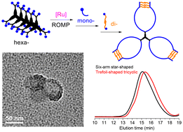 Graphical abstract: Efficient synthesis of trefoil-shaped tricyclic polymers by a ROMP-based blocking-cyclization technique