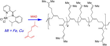 Graphical abstract: Synthesis of stereoregular polymyrcenes using neodymium-, iron- and copper-based catalysts