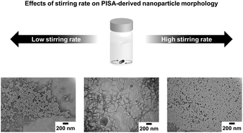 Graphical abstract: Effects of stirring rate on morphology of aqueous RAFT emulsion PISA-derived block copolymer nanoparticles