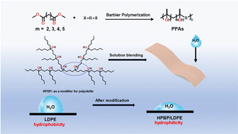 Graphical abstract: Barbier polymerization towards synthesizing polar polyolefin analogues for polyolefin modification