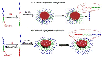 Graphical abstract: ABC or ACB triblock copolymers? Changing the RAFT group position in diblock copolymer macro-RAFT agents leads to different PISA behaviors in RAFT dispersion polymerization