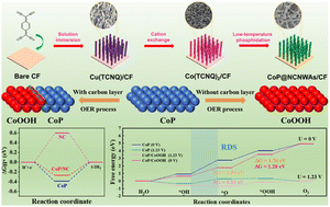 Graphical abstract: N-doped carbon nanowire array confined cobalt phosphides as efficient bifunctional electrocatalysts for water splitting