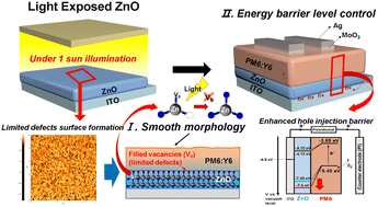 Graphical abstract: Facile light exposure of zinc oxide via interfacial engineering for boosting responsivity and detectivity in organic photodetectors