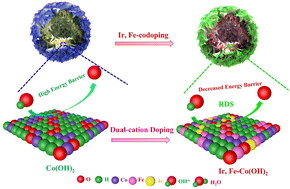 Graphical abstract: Dual-cation doping precisely reducing the energy barrier of the rate-determining step for promoting oxygen-evolving activity