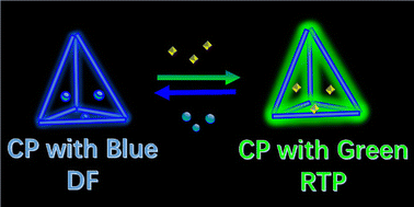 Graphical abstract: A reversible room temperature phosphorescence/delayed fluorescence switch trigged by solvent exchange in a Ca-based coordination polymer