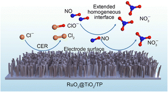 Graphical abstract: Integrating RuO2@TiO2 catalyzed electrochemical chlorine evolution with a NO oxidation reaction for nitrate synthesis