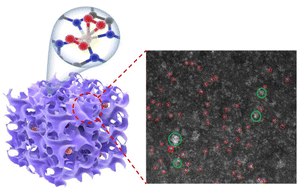 Graphical abstract: Designing Ce single-atom-sites coupled with CeO2 nanoparticles for oxygen reduction enhancement