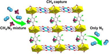 Graphical abstract: A dense 3d–4f metal–organic framework with “gas pockets” for highly efficient CH4/N2 separation