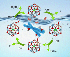 Graphical abstract: Boosting electrocatalytic water oxidation by vanadium–iron–nickel trimetal hydroxide catalysts through interphase ionic migration method