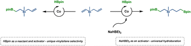 Graphical abstract: Cobalt pincer-type complexes demonstrating unique selectivity for the hydroboration reaction of olefins under mild conditions