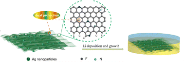 Graphical abstract: A dual protection strategy for stable lithium metal anodes using Ag nanoseed decorated F-doped porous graphene current collectors